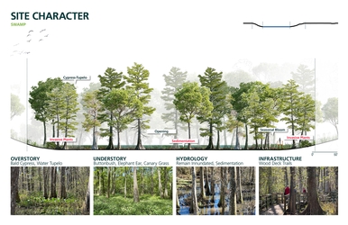 Detailed character of the cypress-tupelo swamp conditions found on the site.