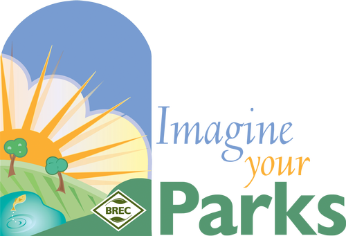Imagine Your Parks 1 Strategic Plan Logo