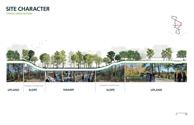 Transect showing the ecological character of the entire site – a bowl shape with a cypress-tupelo swamp at the lowest elevation and an upland forest at the higher elevations. 