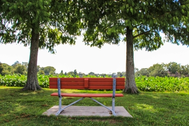 Công viên kỷ niệm Milford Wampold: Công viên kỷ niệm Milford Wampold là một điểm đến lý tưởng cho những ai muốn tìm kiếm bình yên và tận hưởng không gian xanh mát. Hãy cùng khám phá hình ảnh của công viên này và tìm hiểu thêm về câu chuyện đằng sau tên gọi đầy ý nghĩa này.