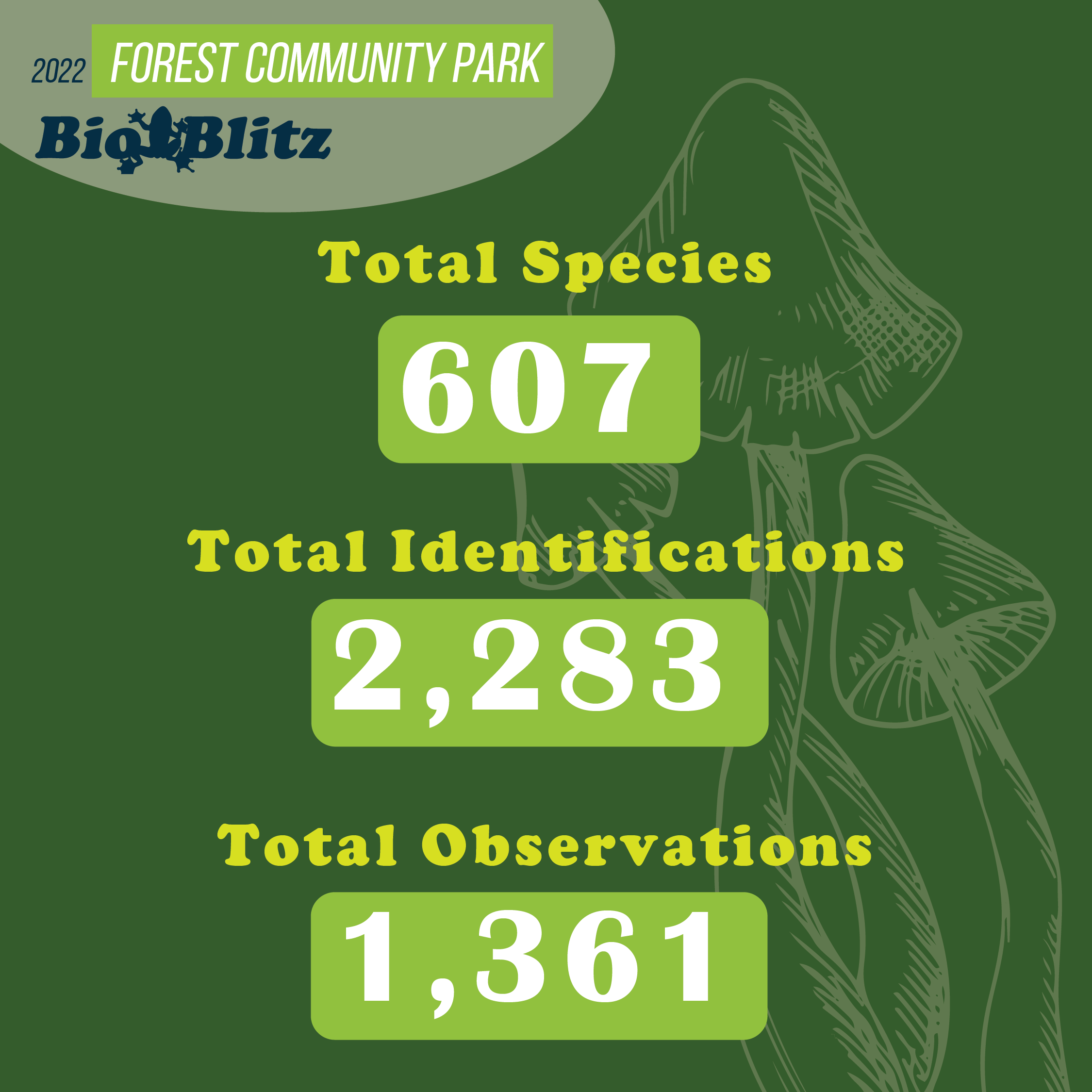 Graphic detailing findings for 2022 bioblitz: Total species 607; total identifications 2,283; total observations 1,361