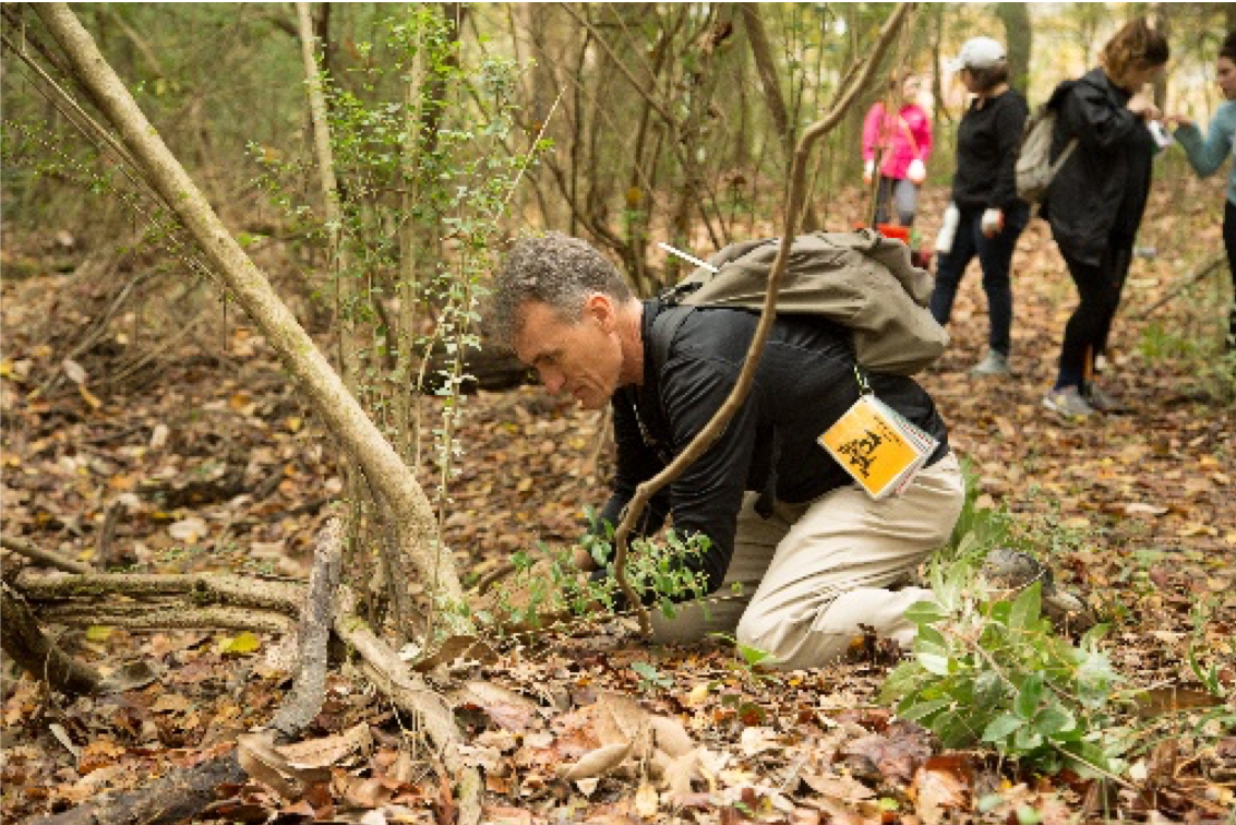 Man working in the grass and brush in the woods to pull up plant