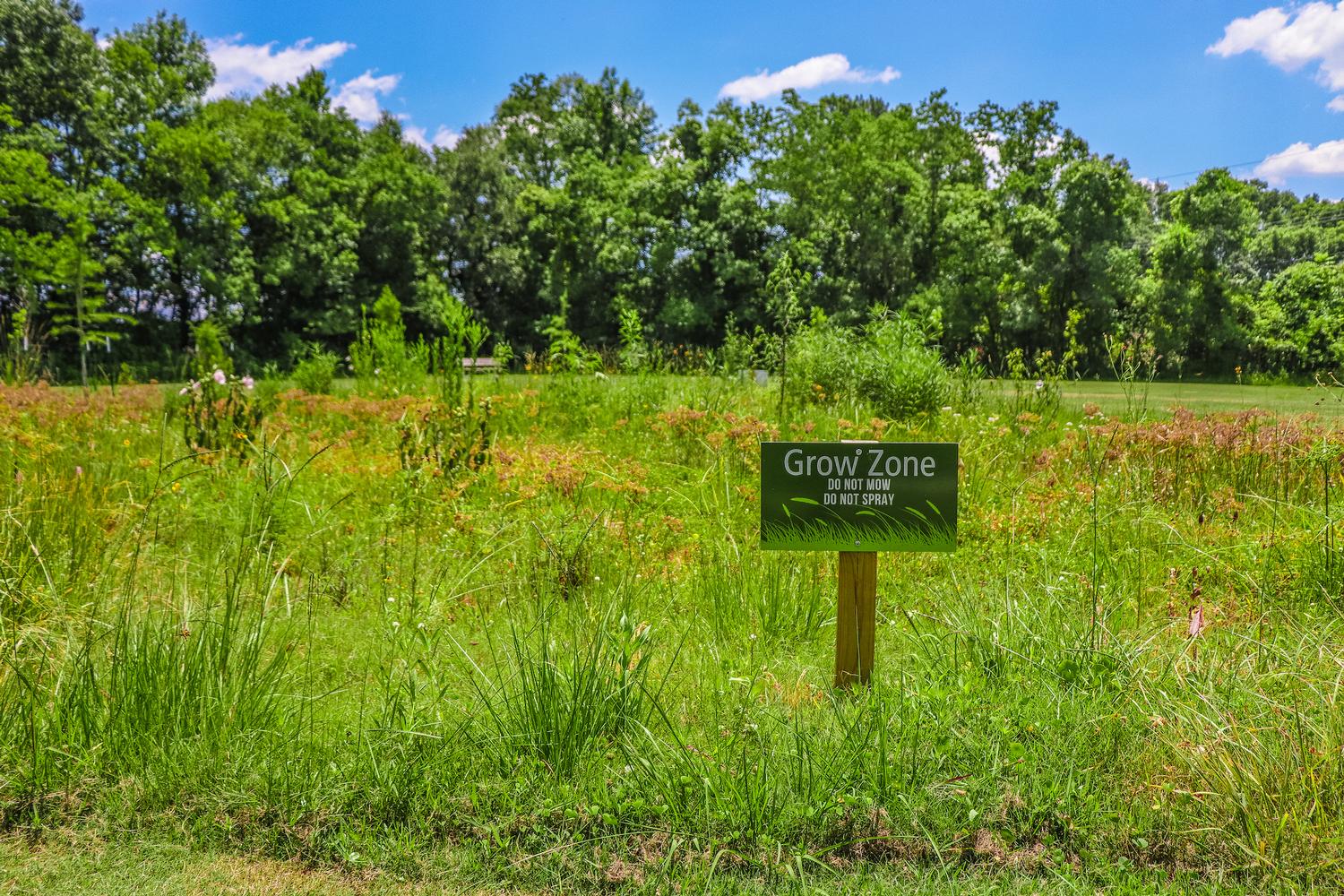 photo of natural grow zone with wildflowers and "grow zone" sign