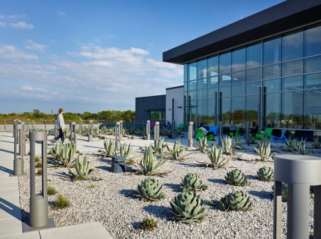 Succulent garden on top of the Baton Rouge Main Goodwood Library roof