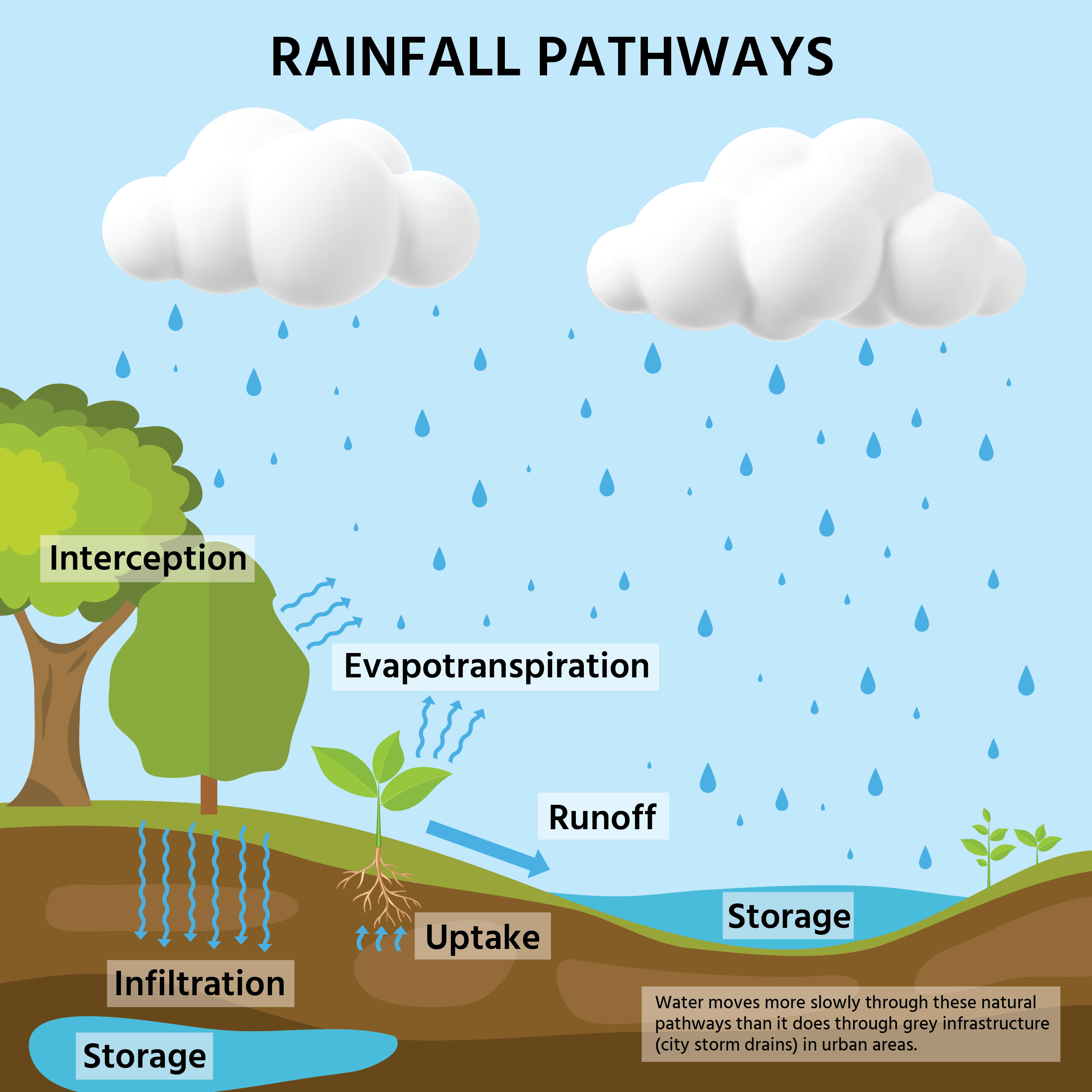 Educational illustration demonstrating stormwater management methods - rainfall pathways