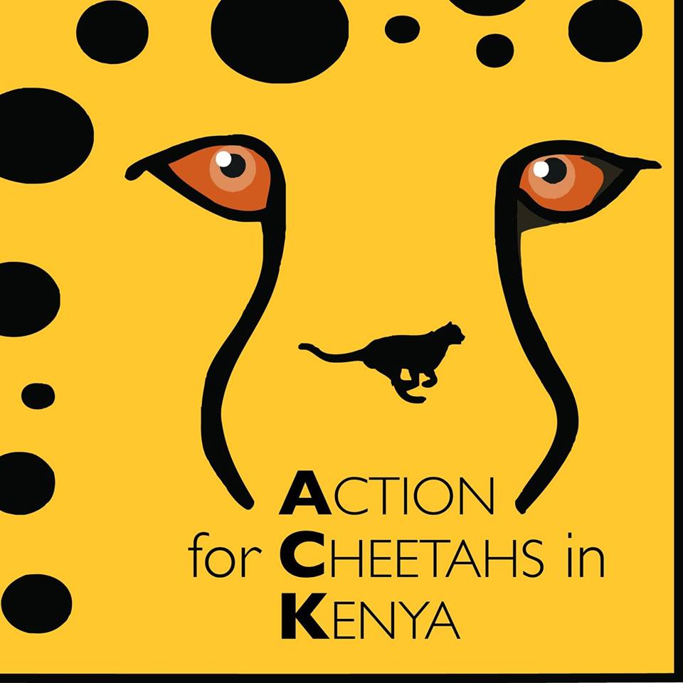 Action for Cheetahs in Kenya