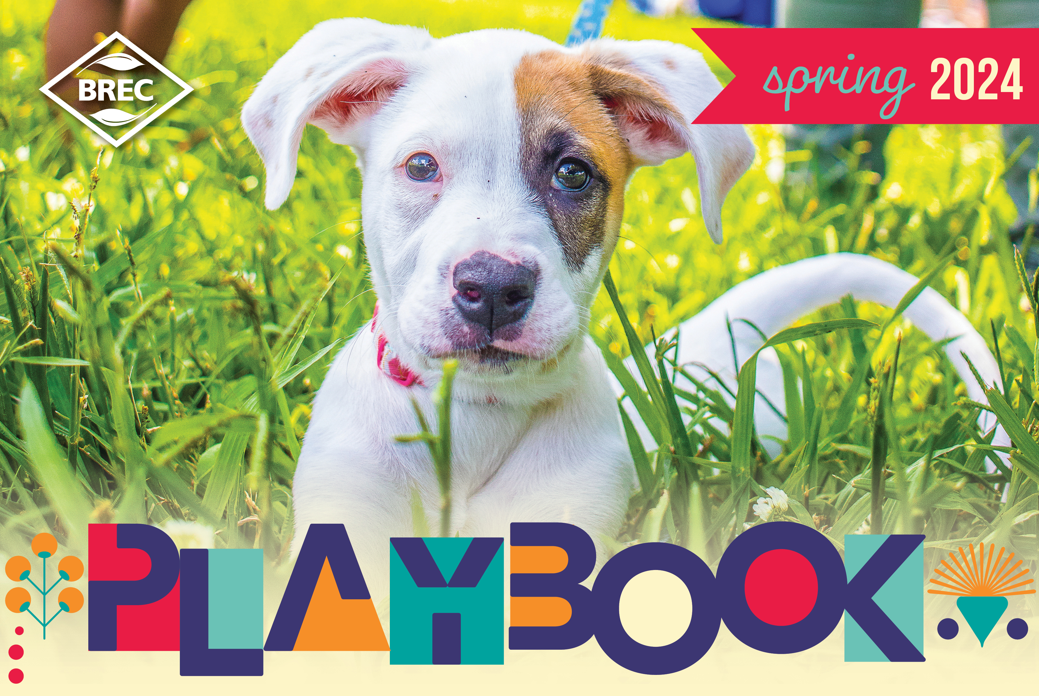 Puppy sitting in grass with graphics labeling it Spring 2024 Playboo