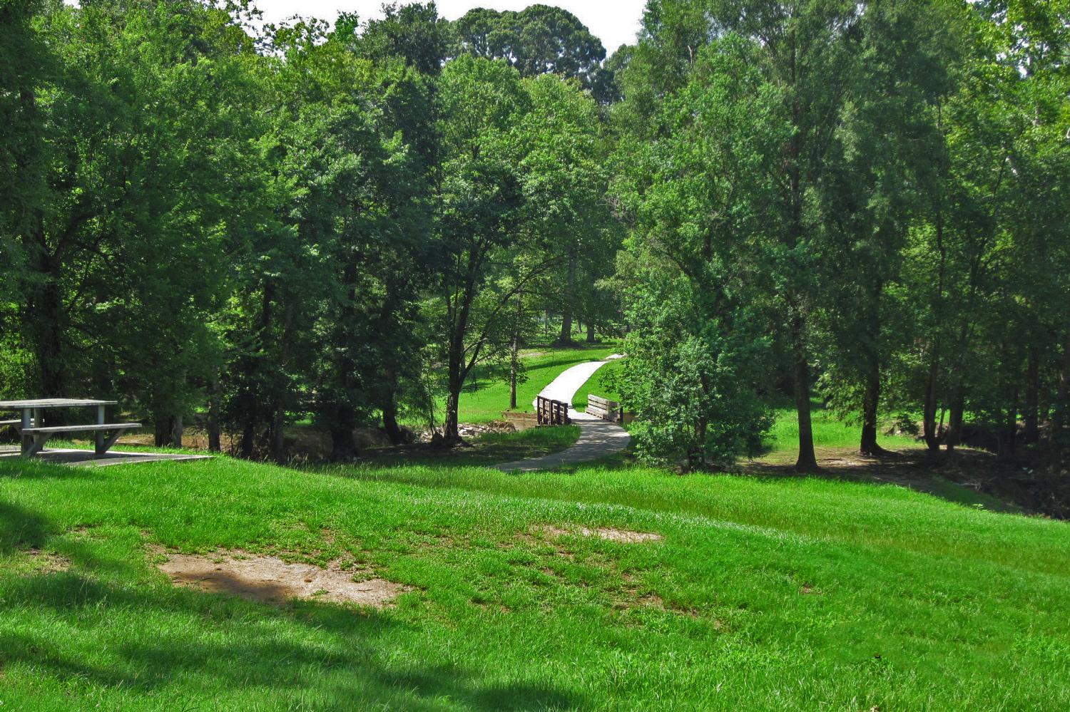 grassy area with trea, a picnic table, and cement trails