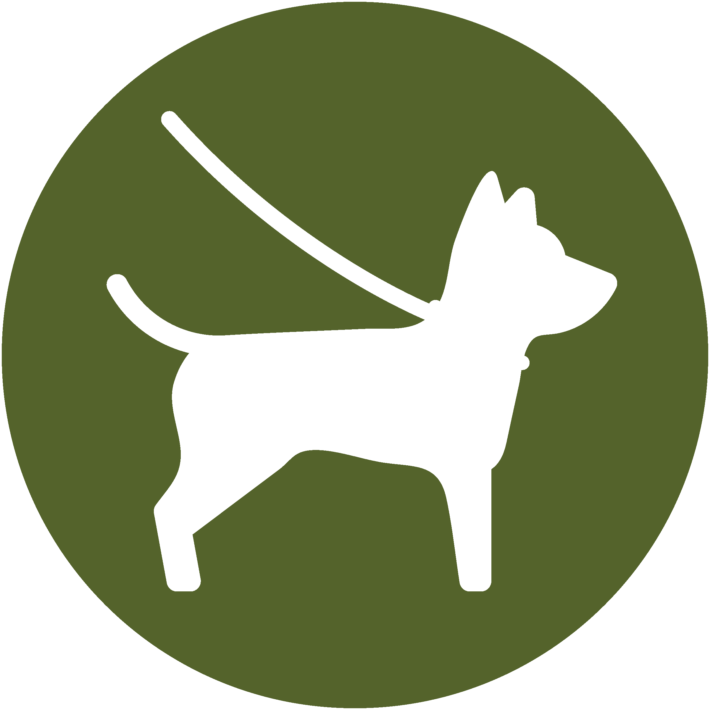 icon of dog on leash