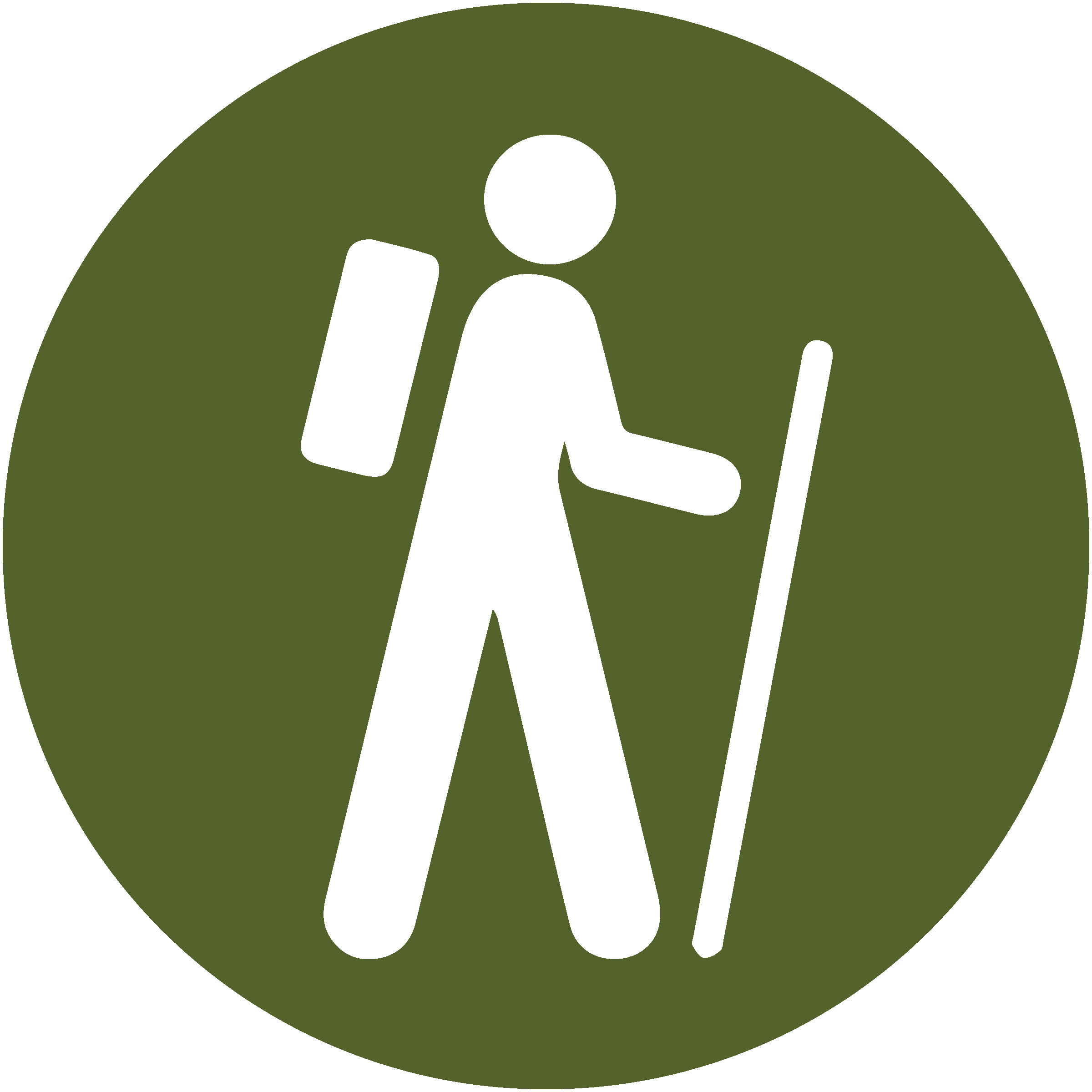 icon of person walking wearing backpack and with walking stick